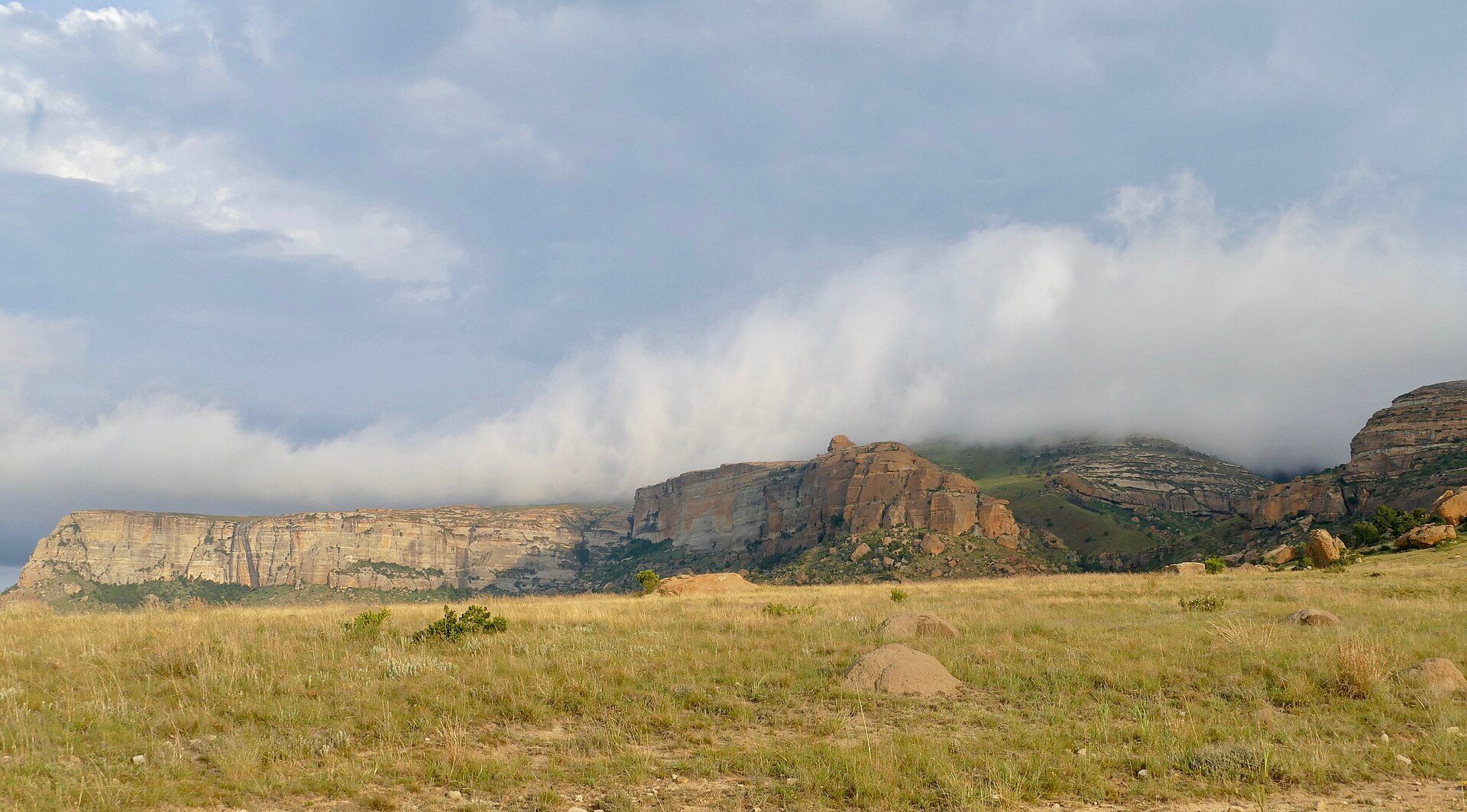 Golden grassland beneath the sandstone cliffs of the Drakensberg, South Africa